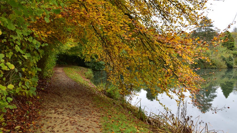 Path near the water at Prior Park in Bath, with overhanging branches covered in autumn leaves.